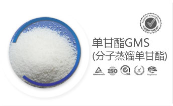 �θ���GMS(ȫ�Q�������s�θ���)